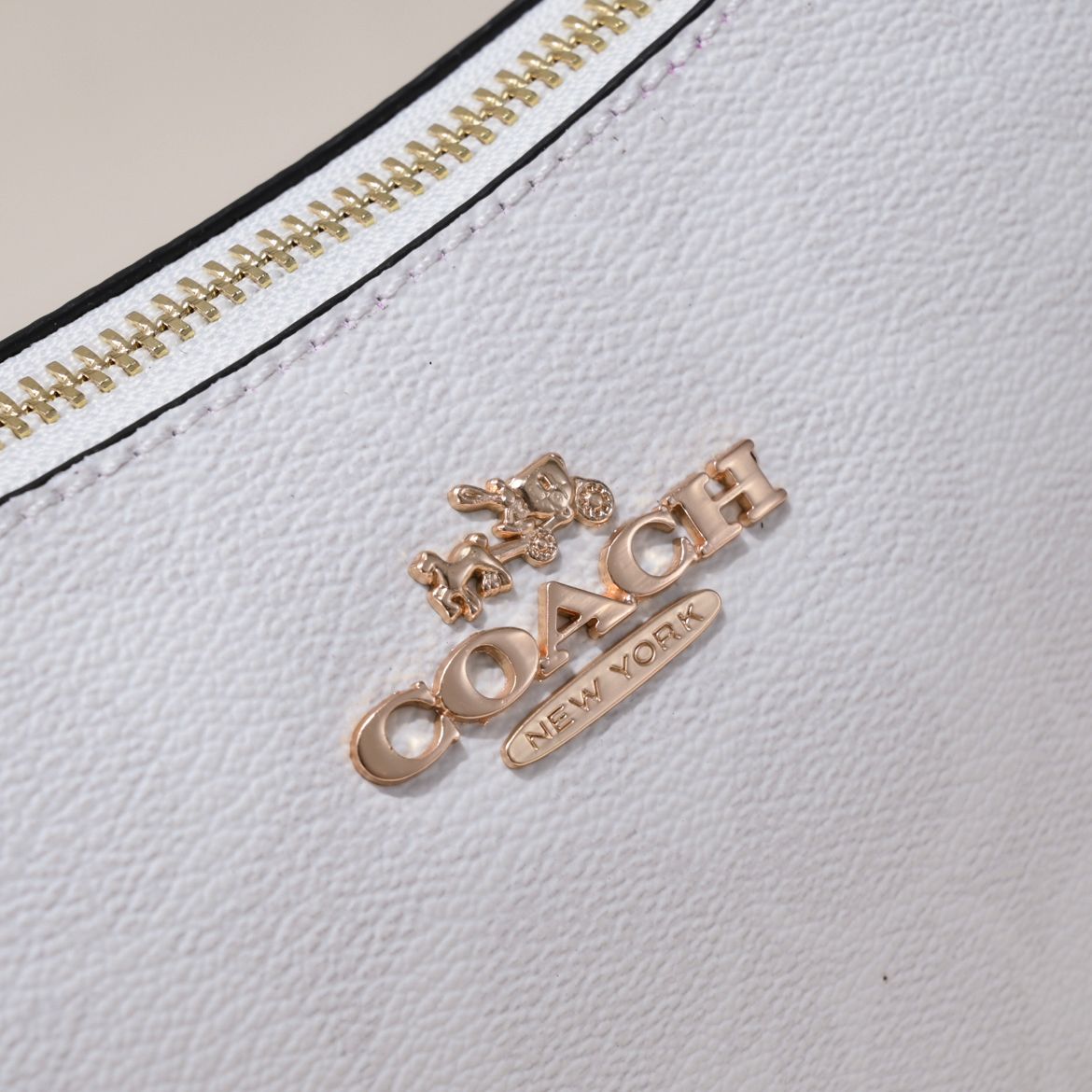 LuxluxHouse Best Quality Bags Coach