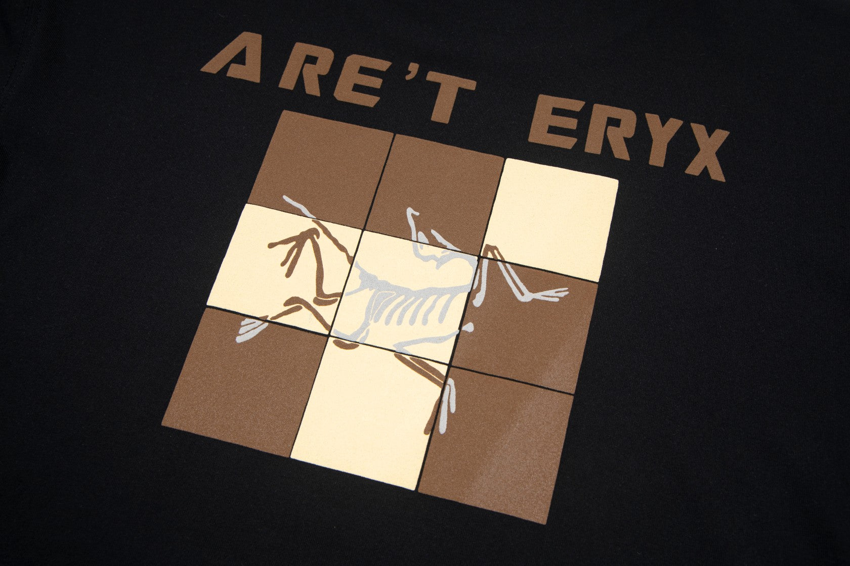 LuxluxHouse Best Quality Clothes T-shirt Arcteryx
