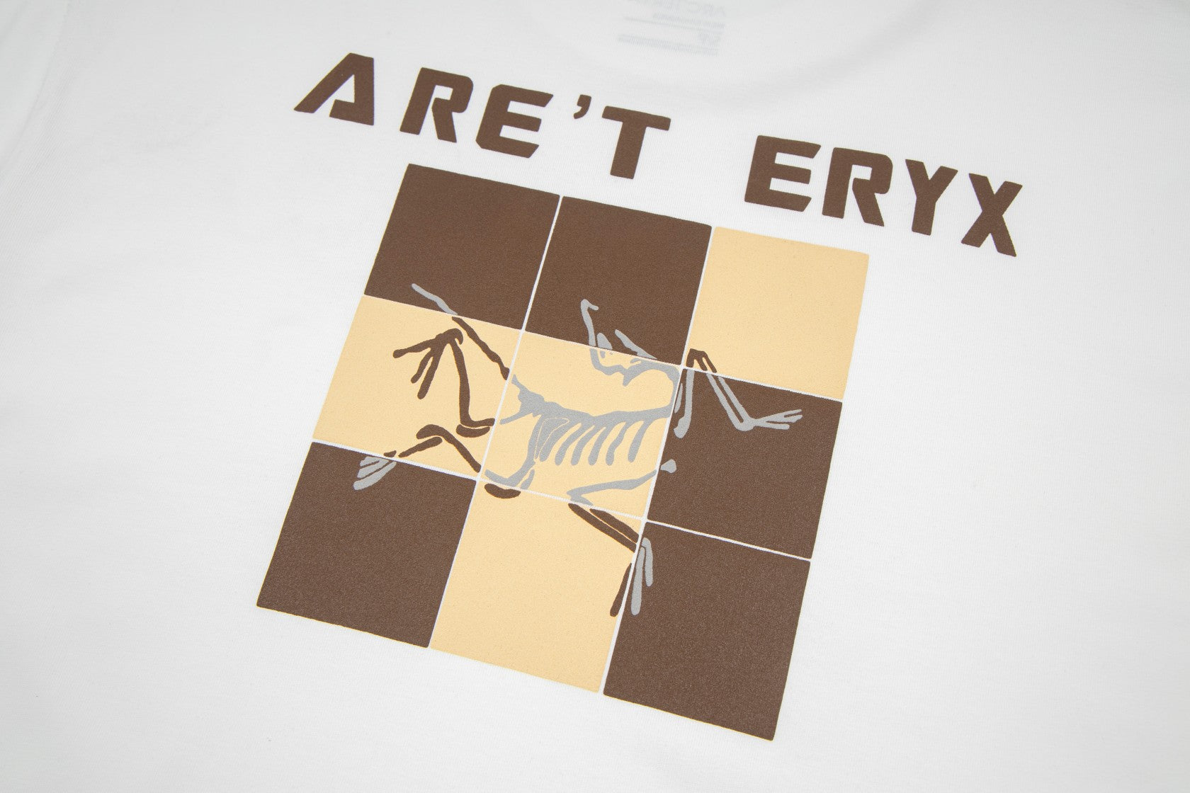 LuxluxHouse Best Quality Clothes T-shirt Arcteryx