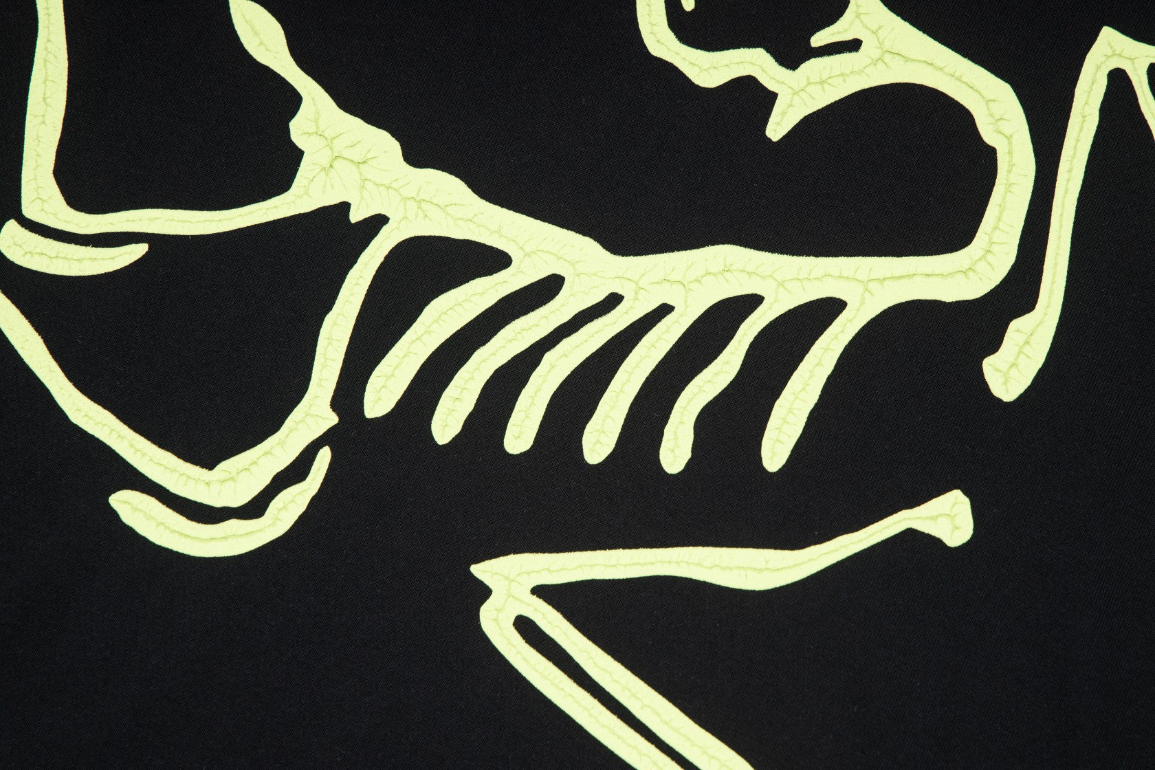 LuxluxHouse Best Quality Clothes T-shirt Arcteryx