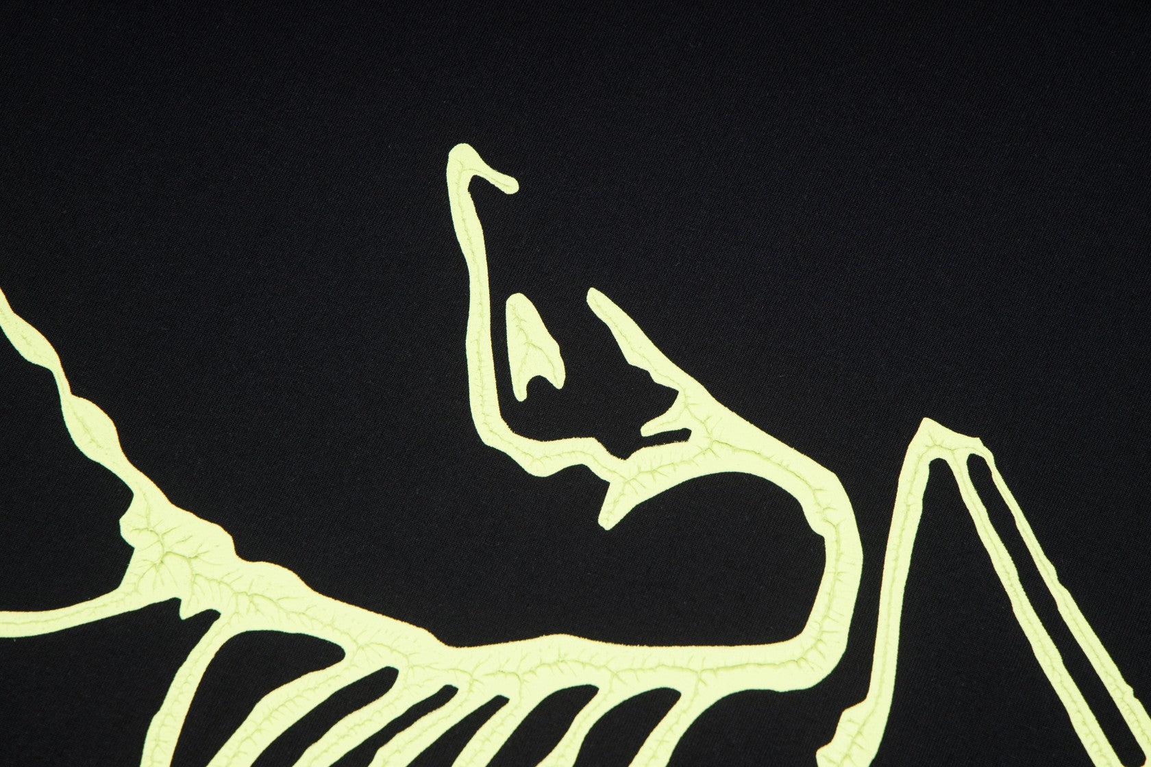 LuxluxHouse Best Quality Clothes T-shirt Arcteryx