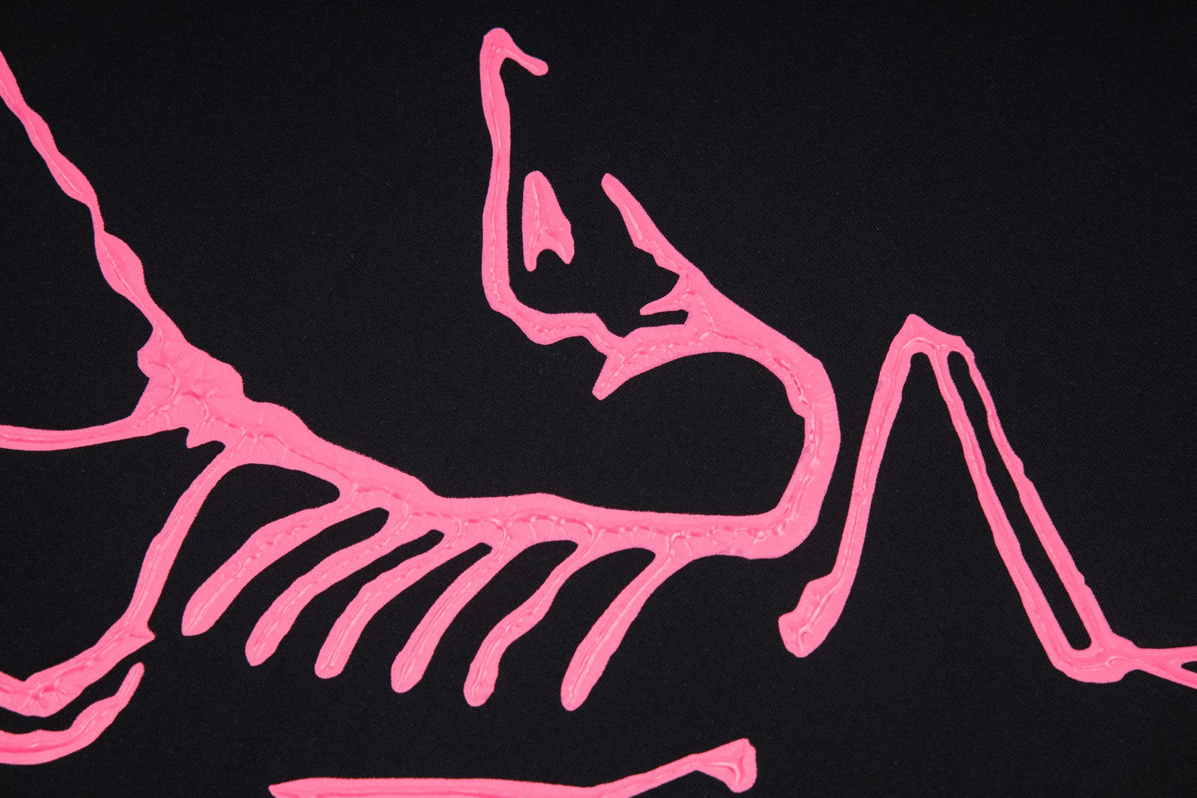 LuxluxHouse Best Quality Clothes T-shirt Arcteryx
