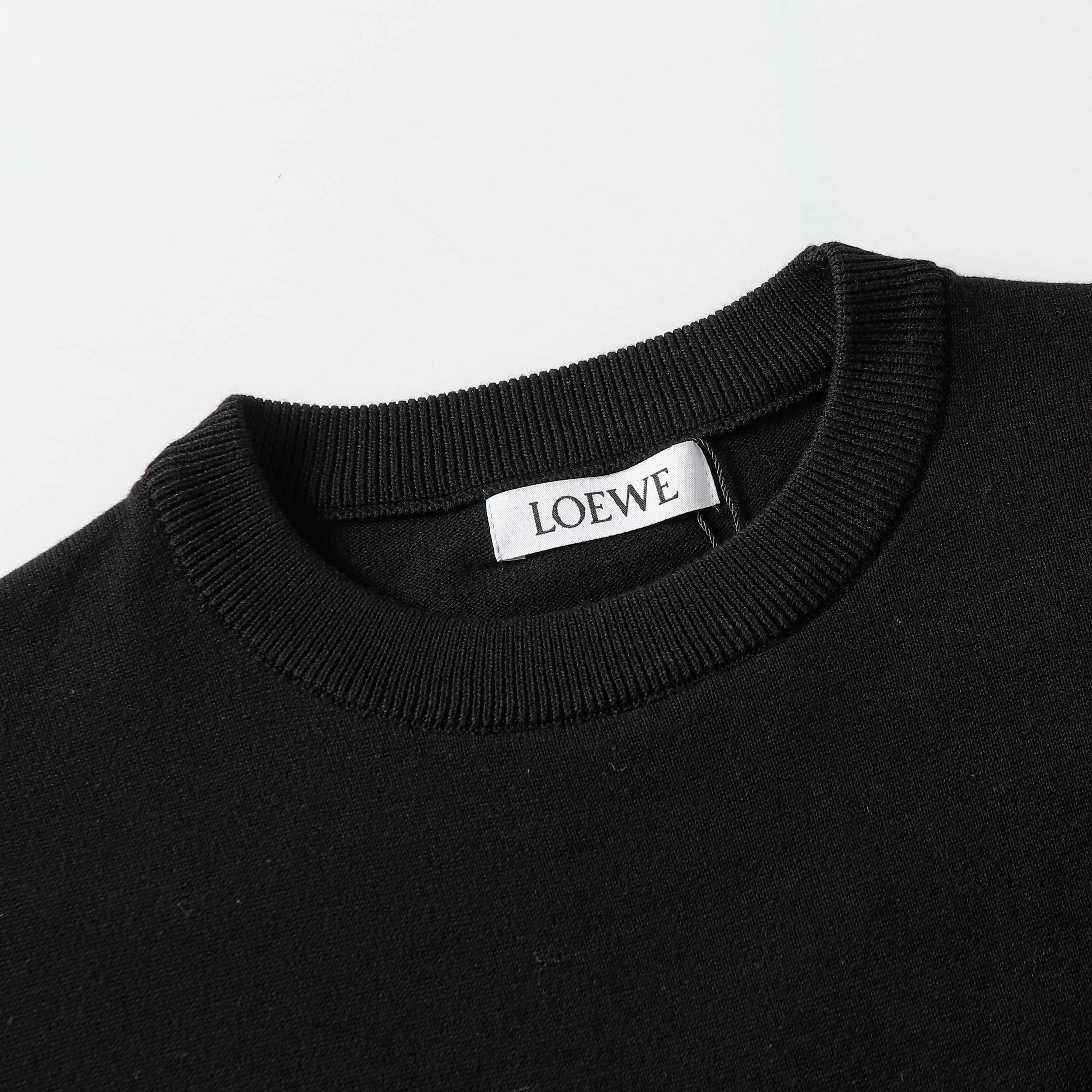 LuxluxHouse Best Quality Clothes T-shirt Loewe