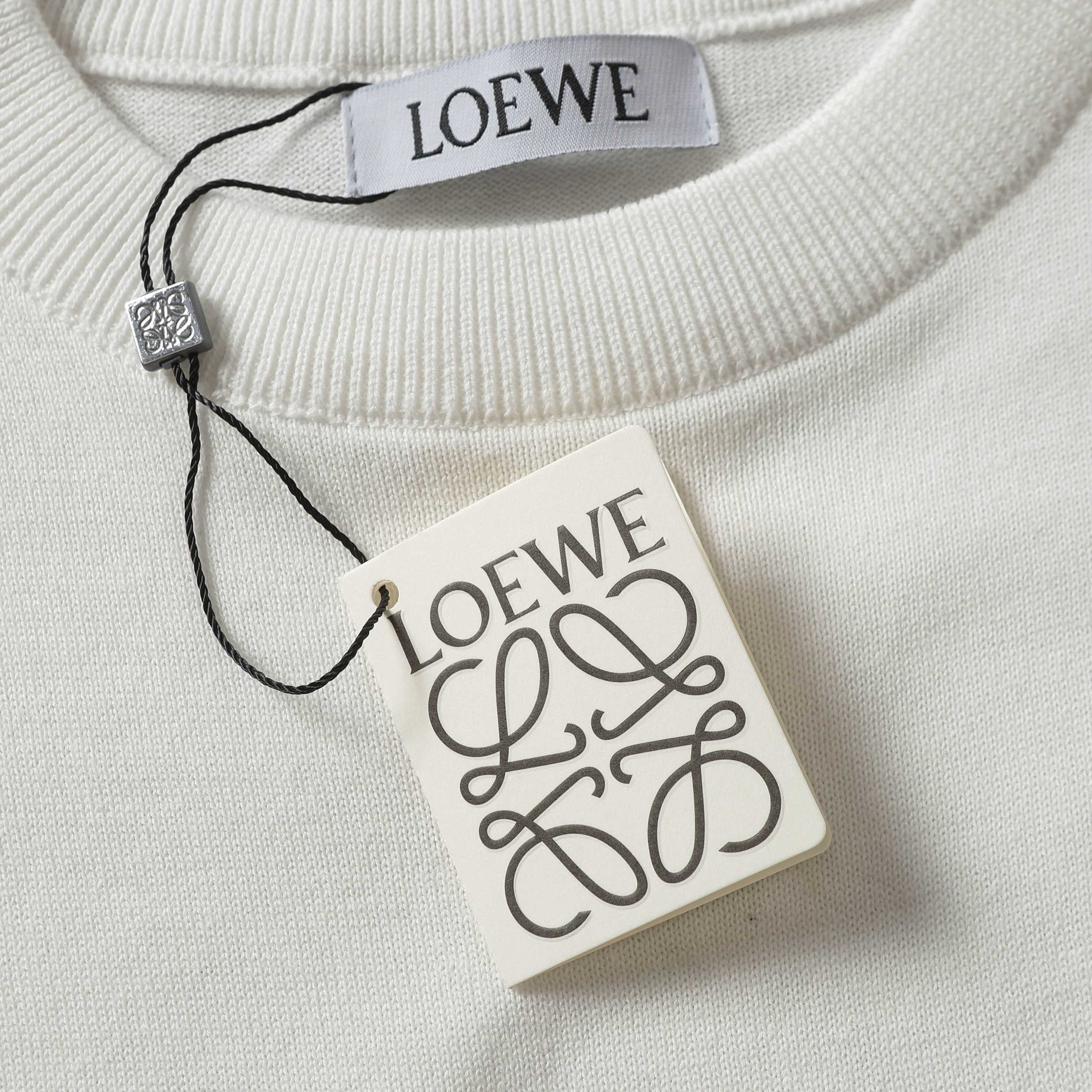 LuxluxHouse Best Quality Clothes T-shirt Loewe