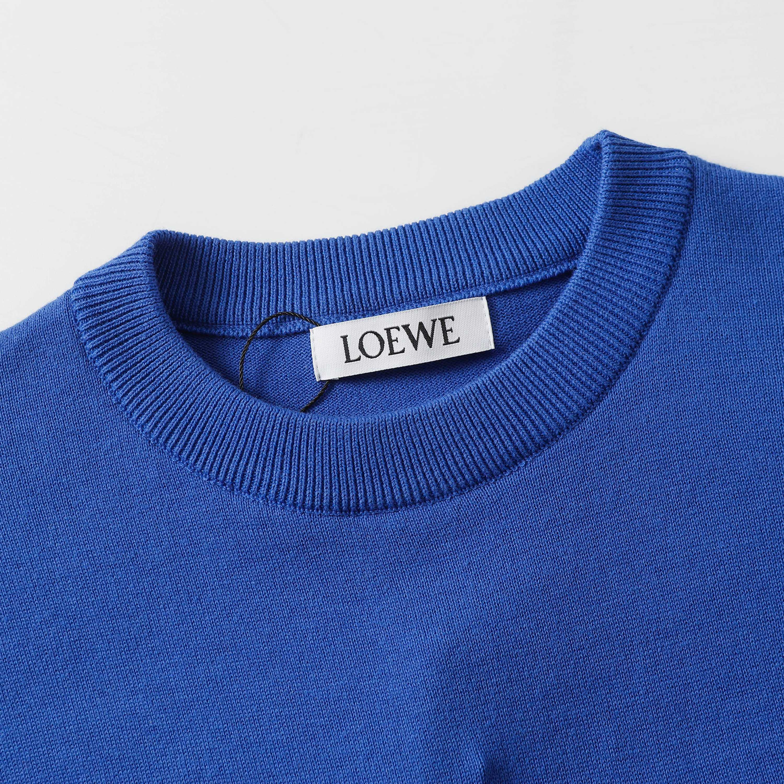 LuxluxHouse Best Quality Clothes T-shirt Loewe