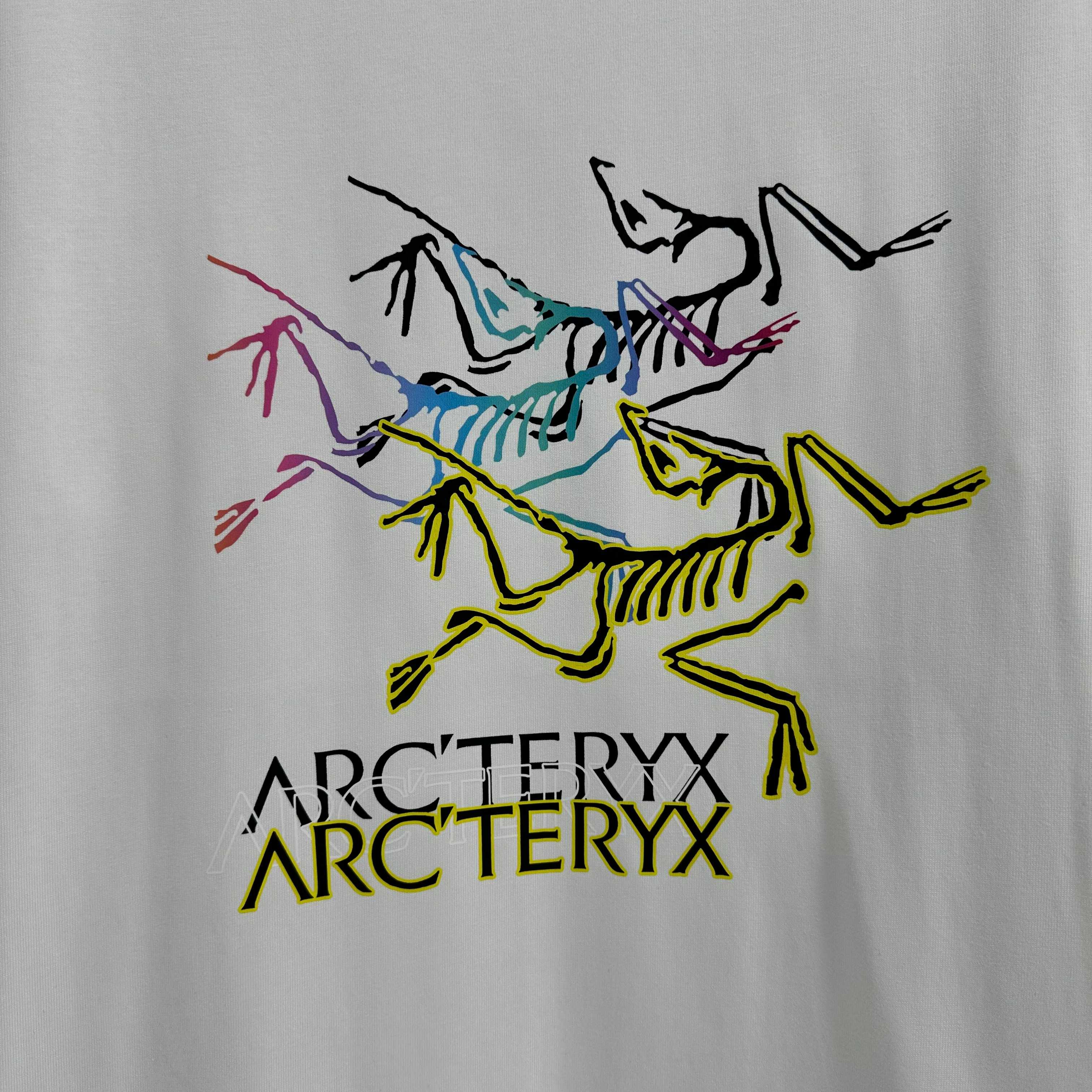LuxluxHouse Best Quality Clothes T-shirt Arcteryx