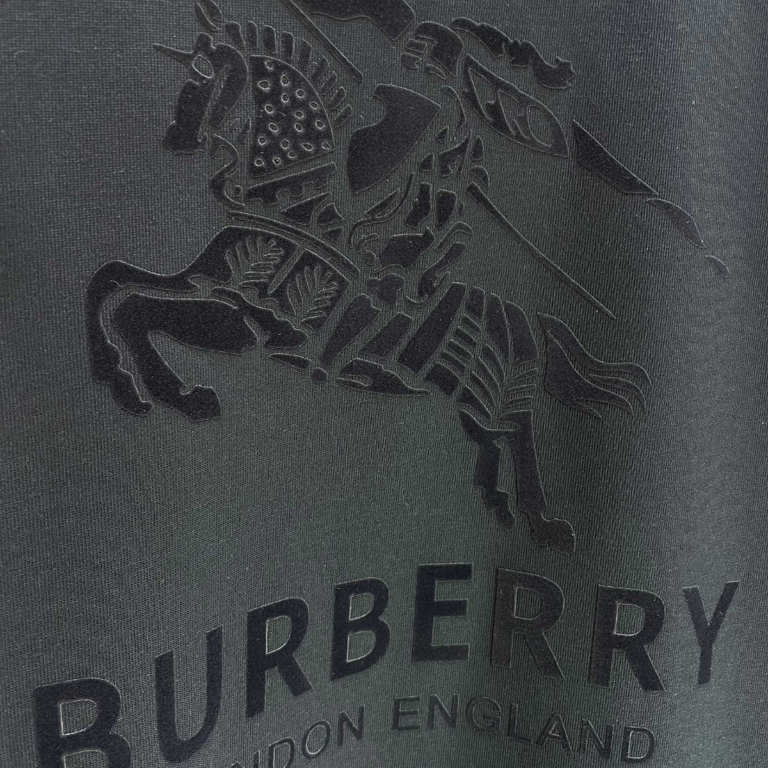 LuxluxHouse Best Quality Clothes Burberry T-shirt