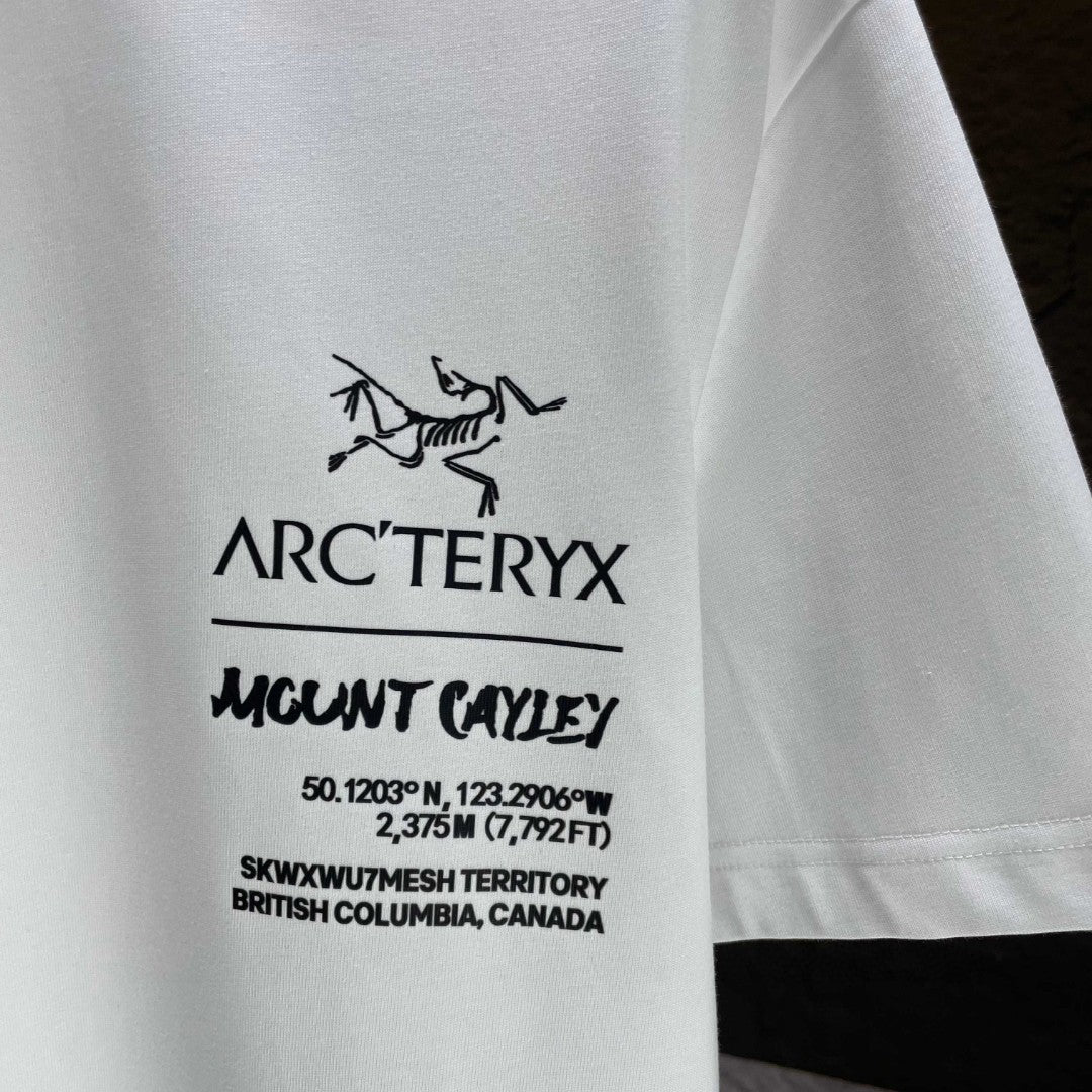 LuxluxHouse Best Quality Clothes T-shirt Arcteryx
