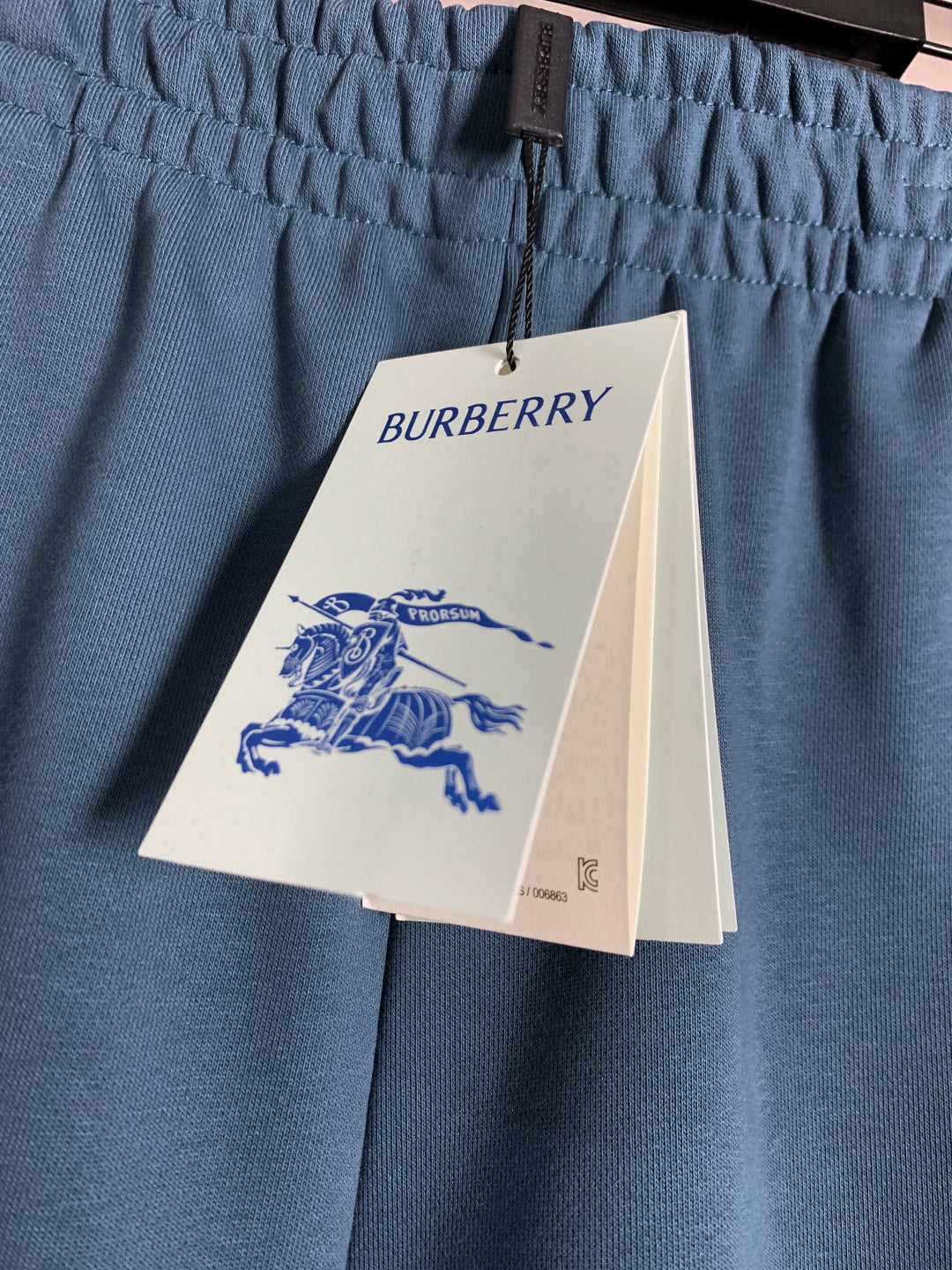 LuxluxHouse Best Quality Clothes Burberry Pants