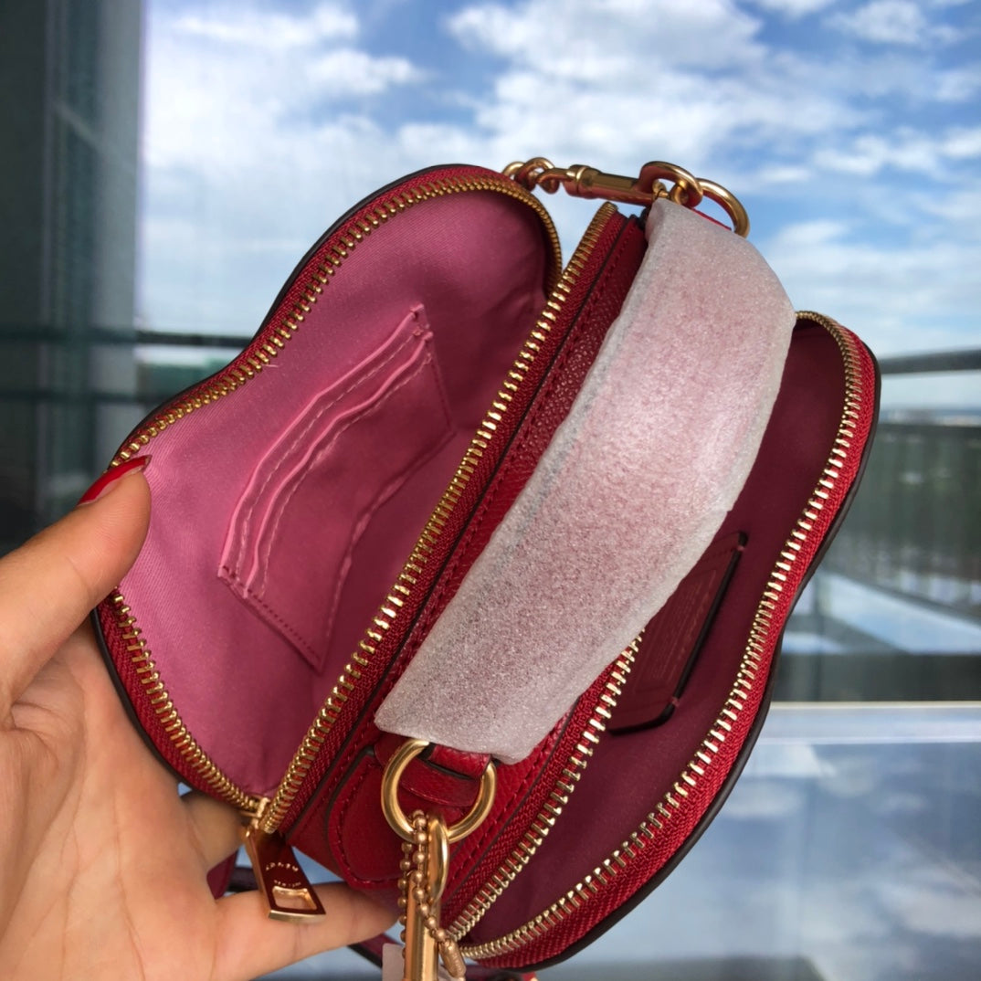 LuxluxHouse Best Quality Bags Coach