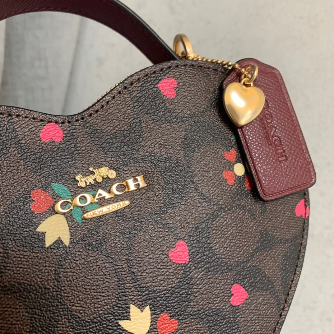 LuxluxHouse Best Quality Bags Coach