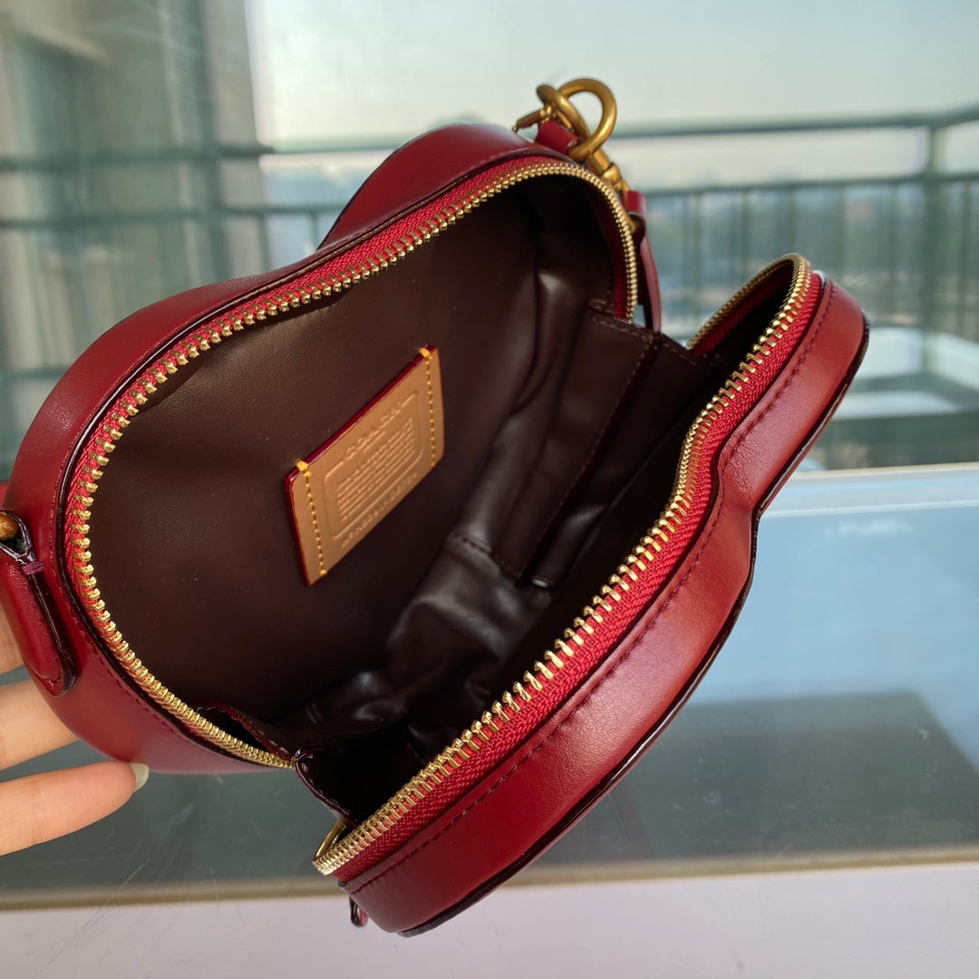 LuxluxHouse Best Quality Bags Coach