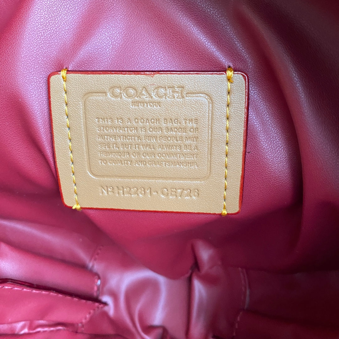 LuxluxHouse Best Quality Bags Coach