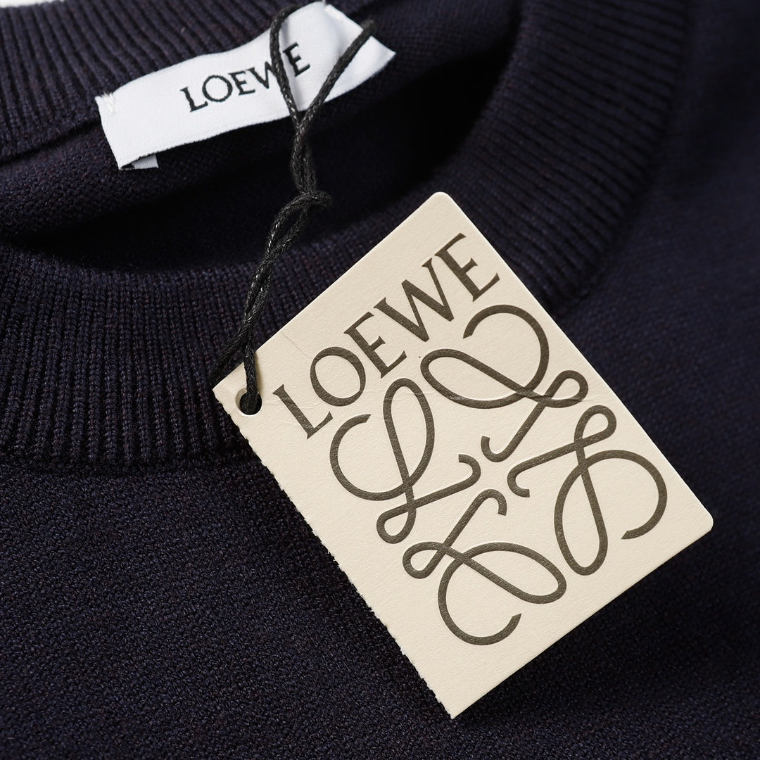 LuxluxHouse Best Quality Clothes Hoodie & Sweater Loewe