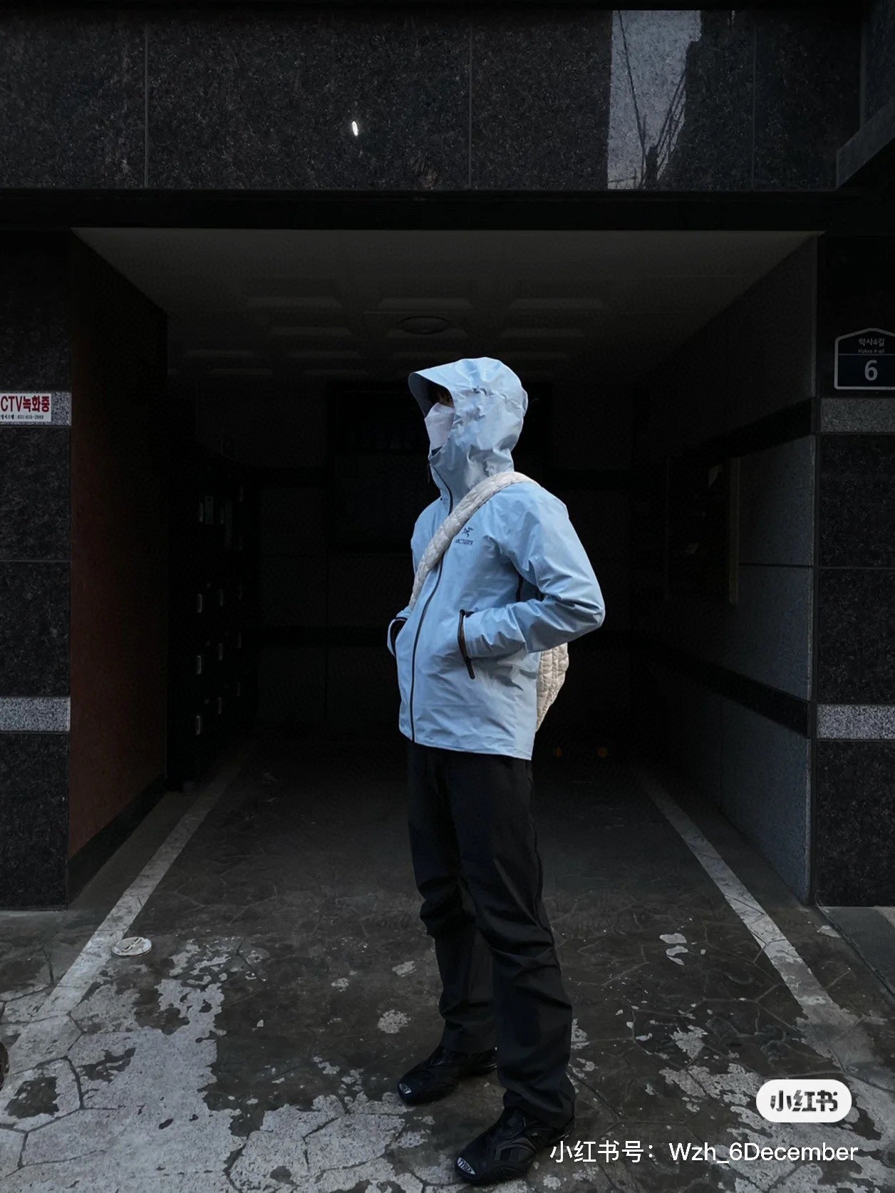 LuxluxHouse Best Quality Clothes Coats & Jackets Arcteryx