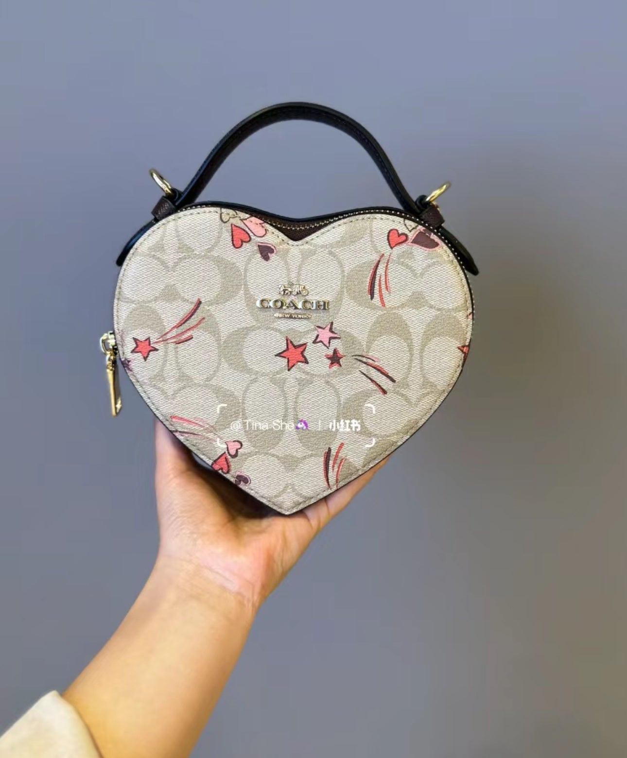 LuxluxHouse Best Quality Bags Coach