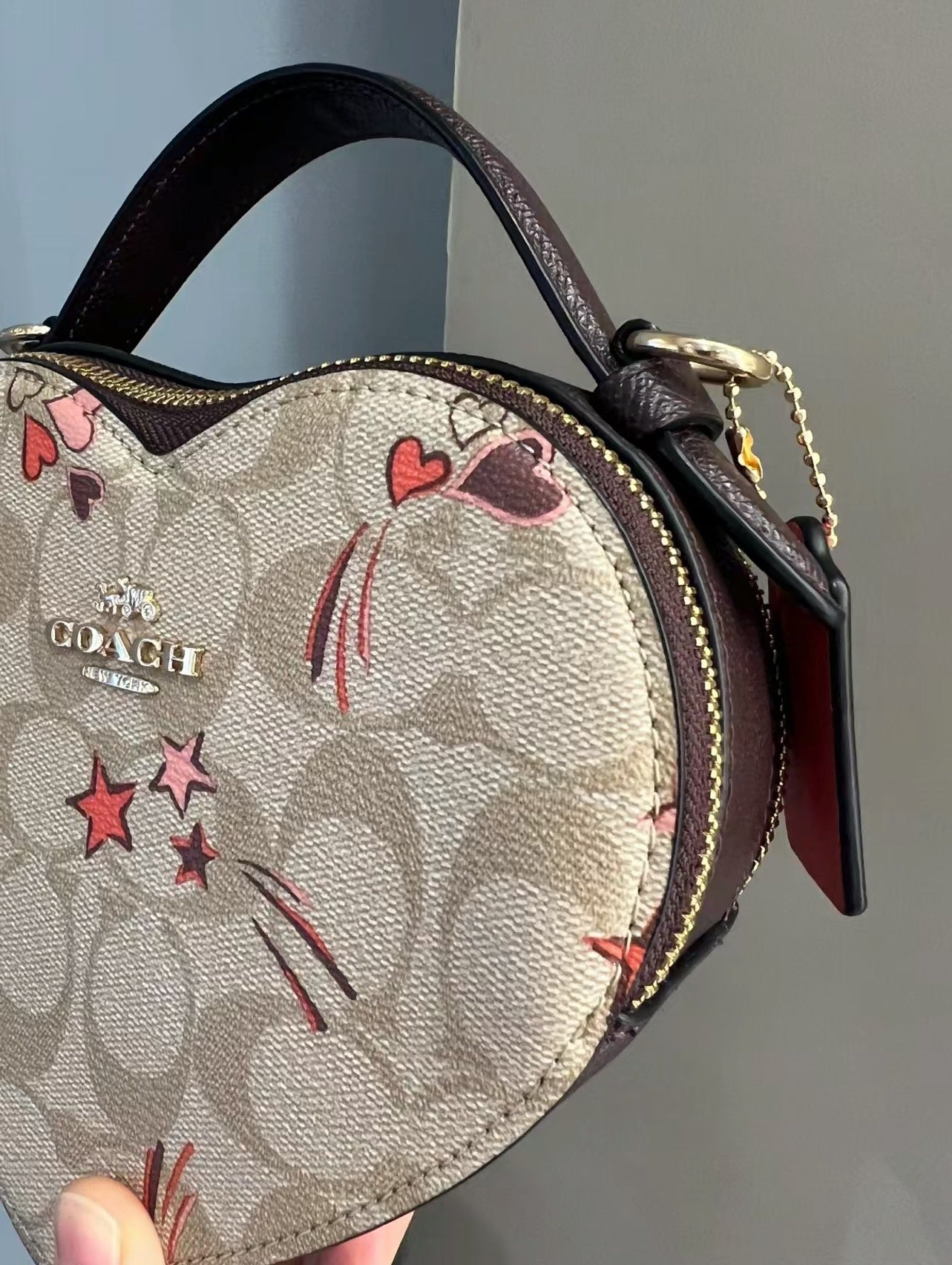 LuxluxHouse Best Quality Bags Coach