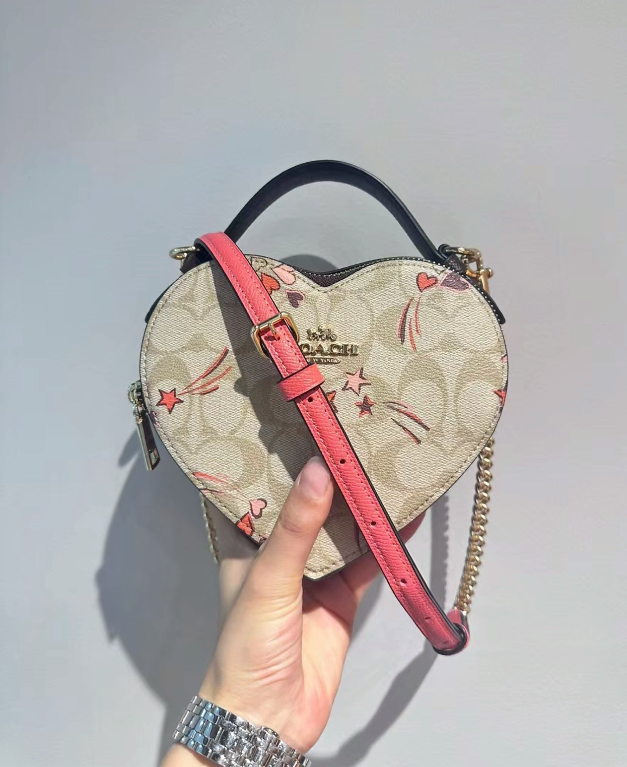 LuxluxHouse Best Quality Bags Coach