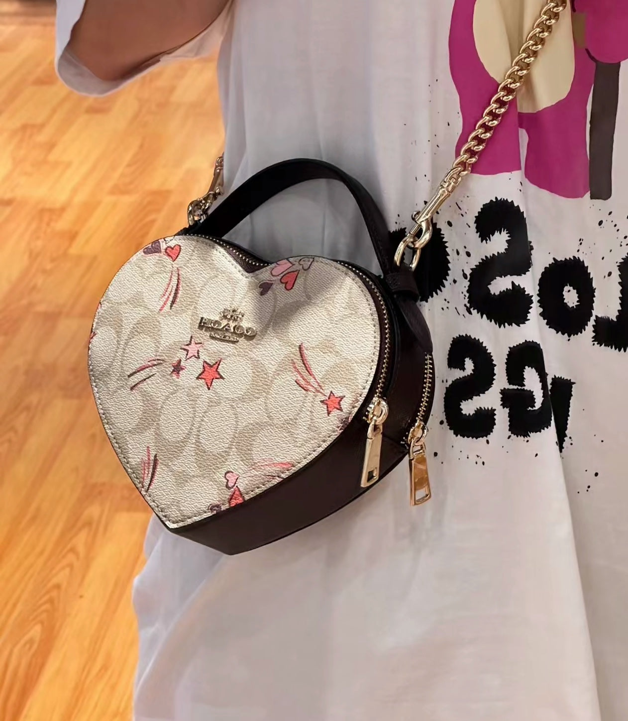 LuxluxHouse Best Quality Bags Coach