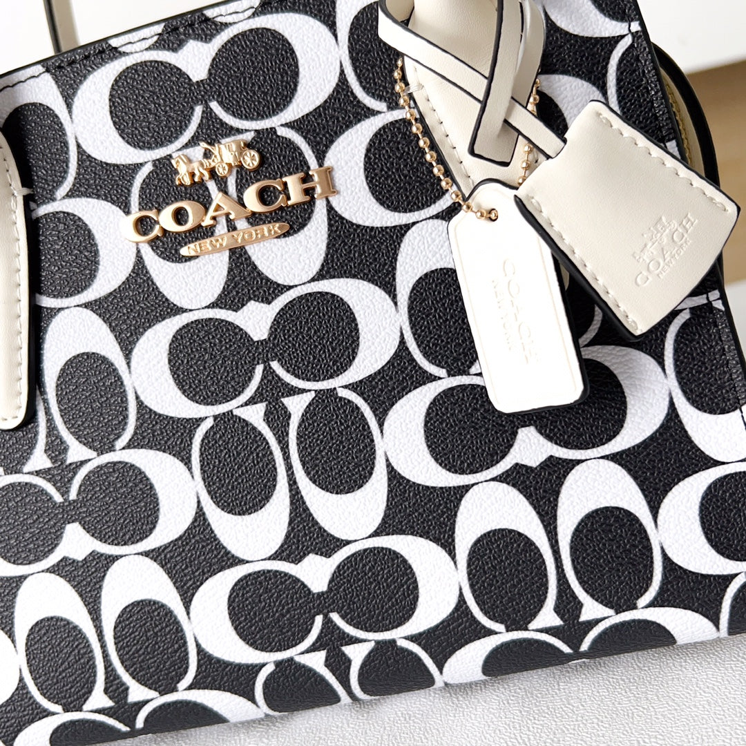 LuxluxHouse Best Quality Bags Coach