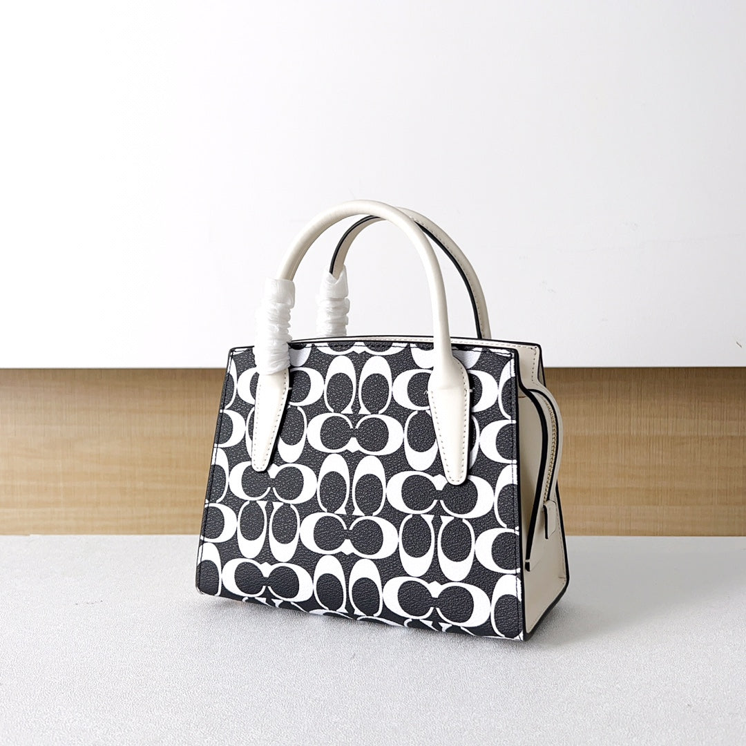 LuxluxHouse Best Quality Bags Coach