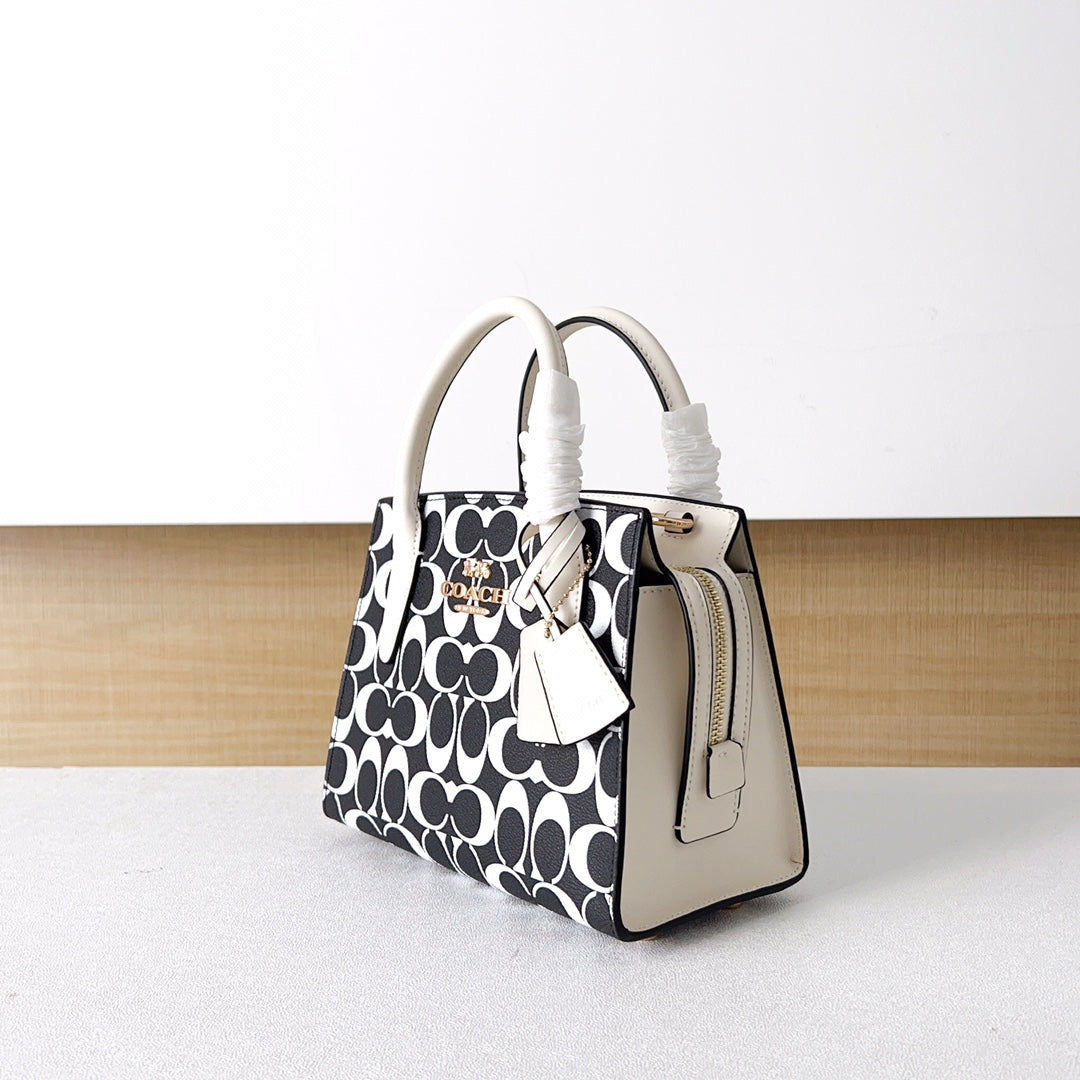 LuxluxHouse Best Quality Bags Coach
