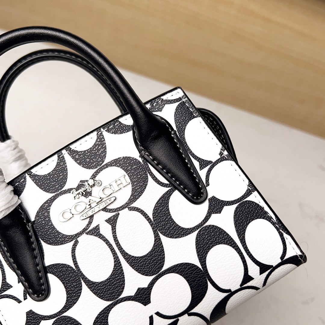 LuxluxHouse Best Quality Bags Coach