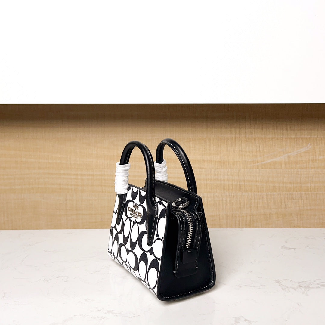 LuxluxHouse Best Quality Bags Coach