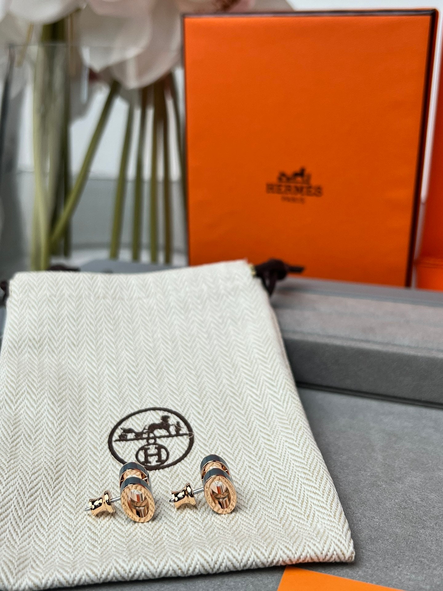 LuxluxHouse Best Quality Accessories Hermes Earrings