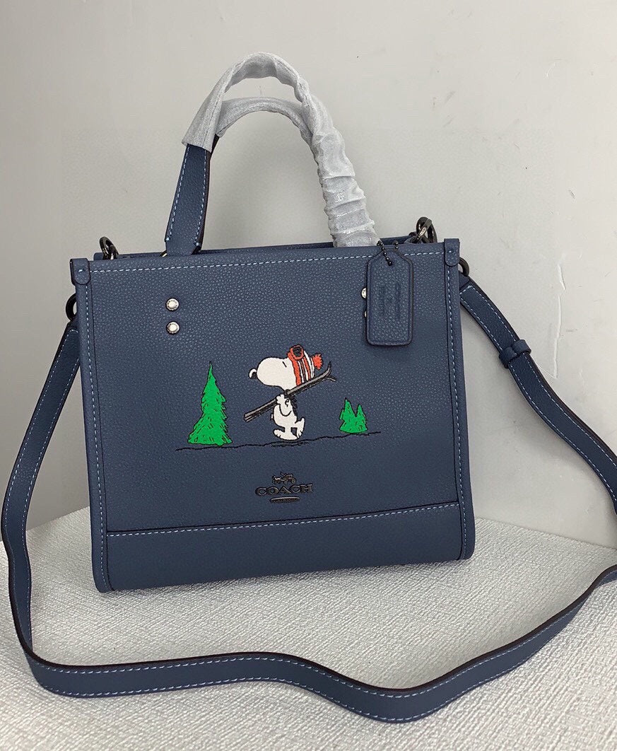 LuxluxHouse Best Quality Bags Coach