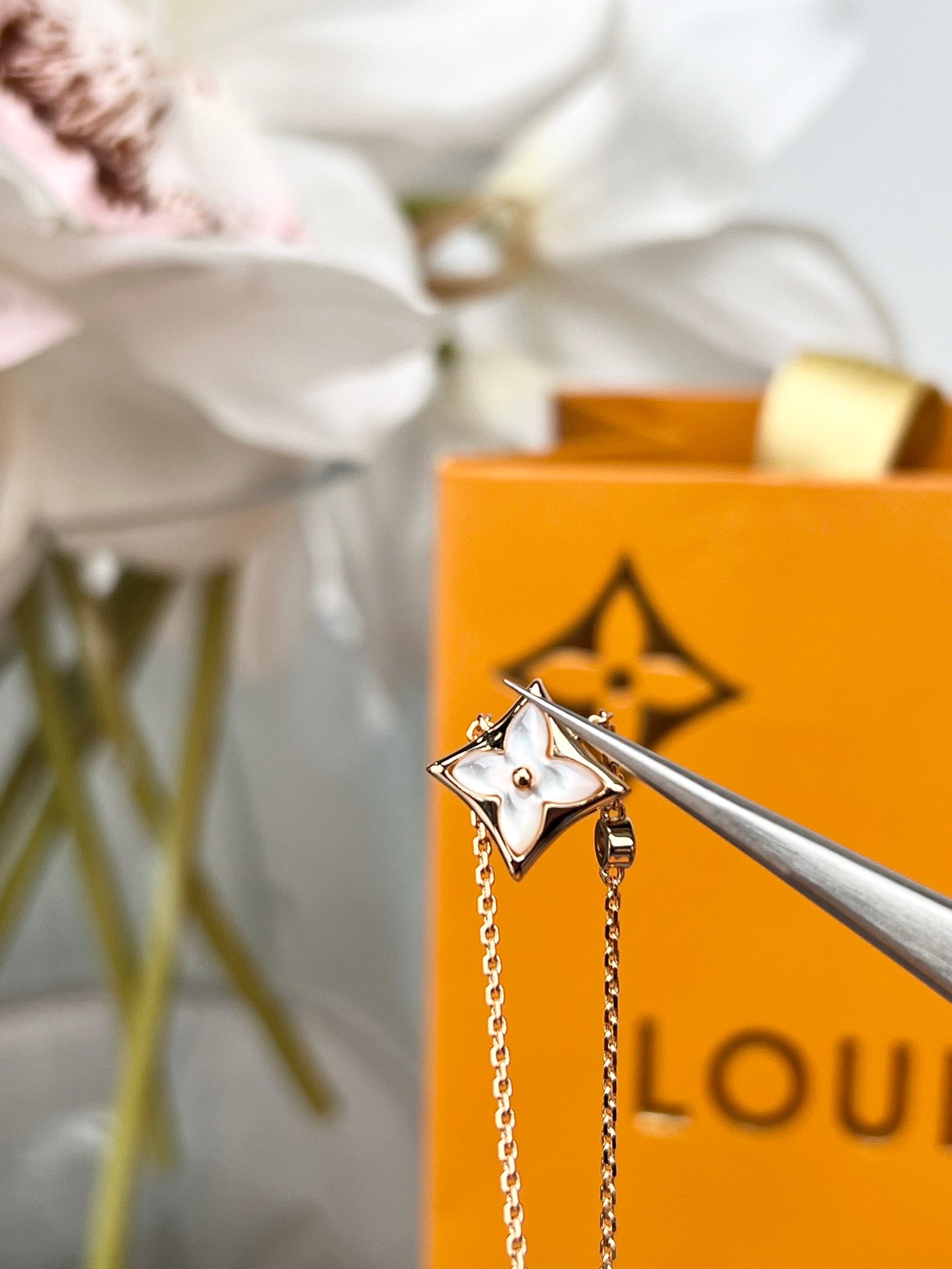 LuxluxHouse Best Quality Accessories Necklace Louis Vuitton