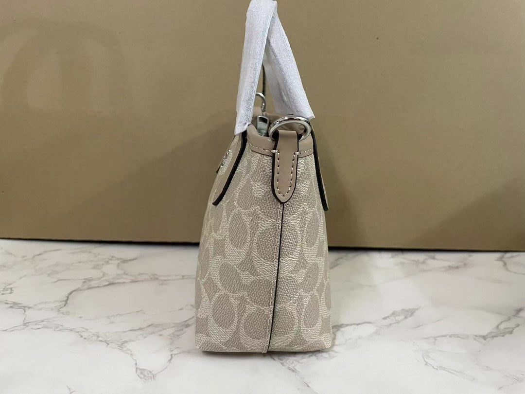 LuxluxHouse Best Quality Bags Coach