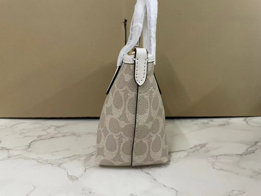 LuxluxHouse Best Quality Bags Coach