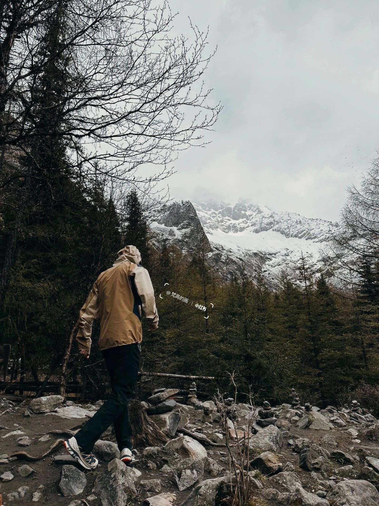 LuxluxHouse Best Quality Clothes Coats & Jackets Arcteryx