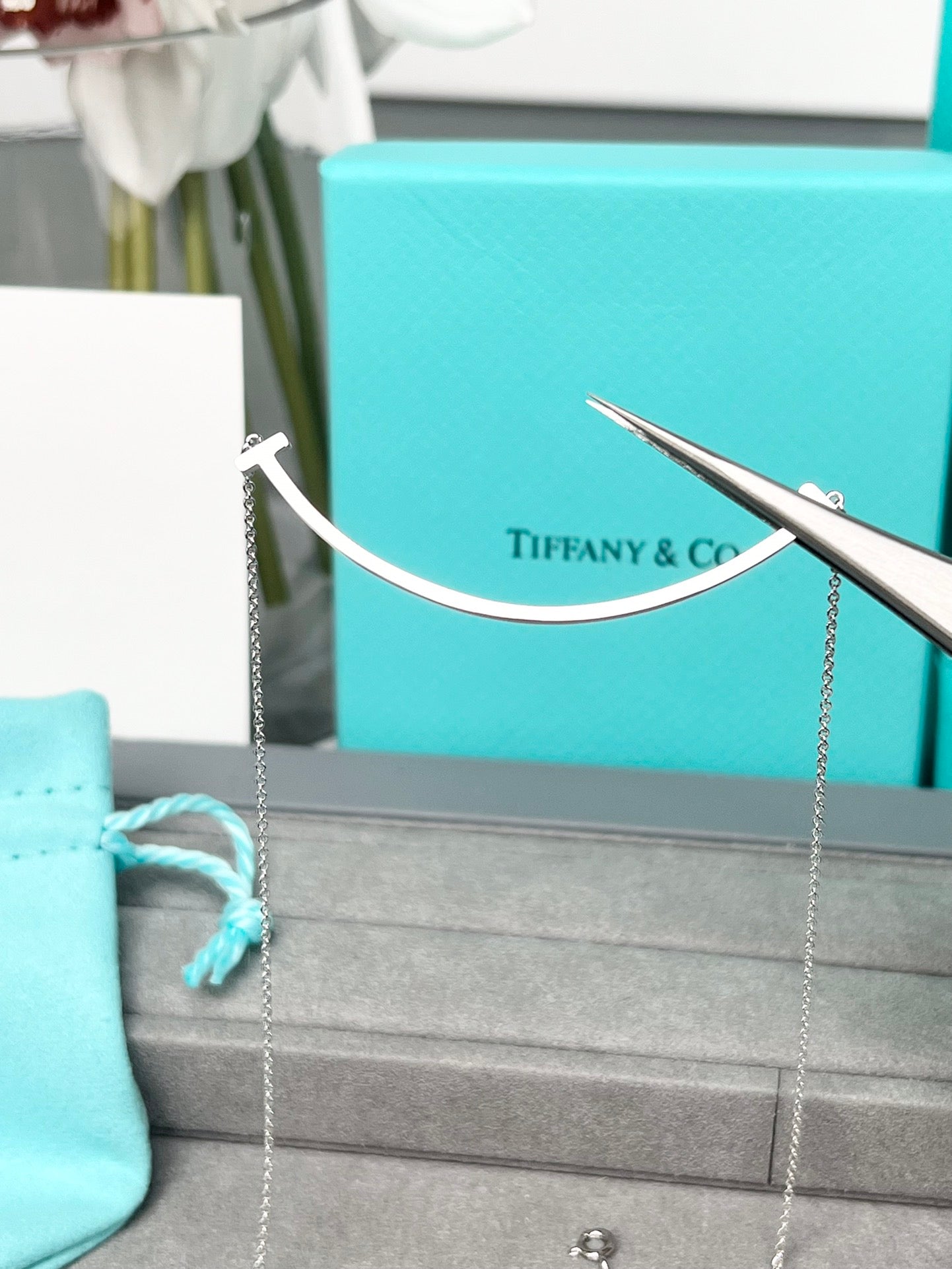 LuxluxHouse Best Quality Accessories Tiffany Necklace