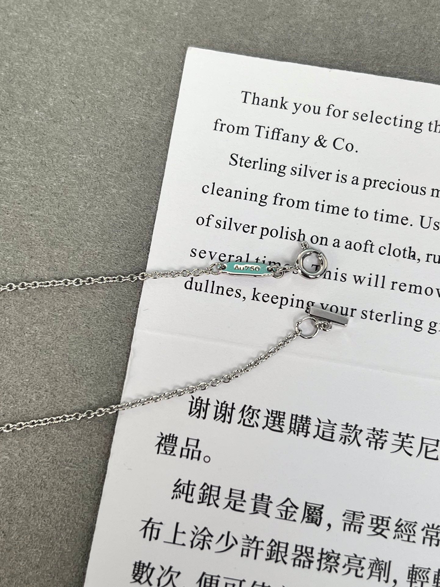 LuxluxHouse Best Quality Accessories Tiffany Necklace