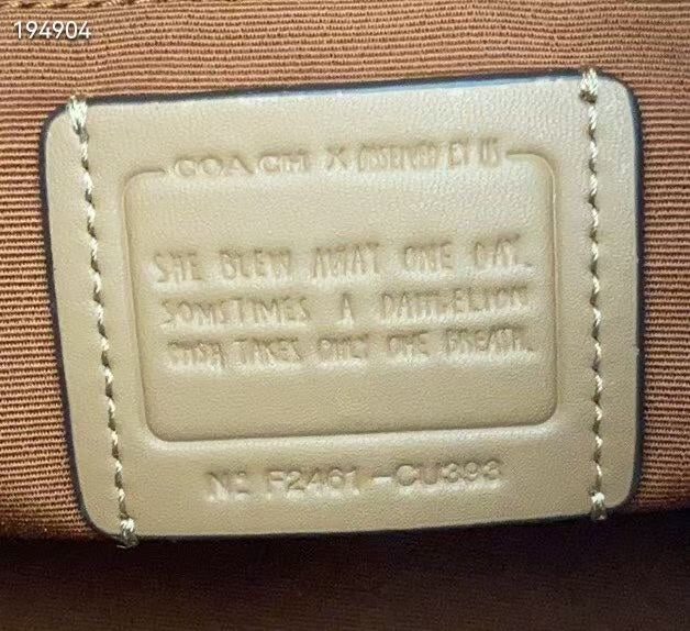 LuxluxHouse Best Quality Bags Coach
