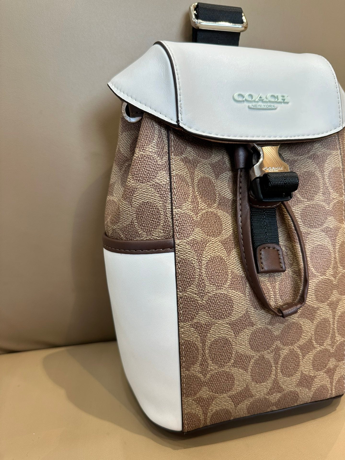 LuxluxHouse Best Quality Bags Coach