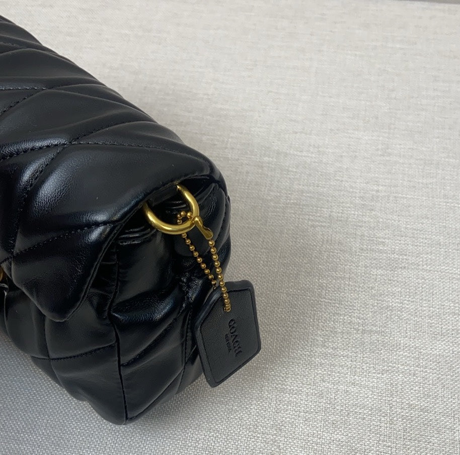 LuxluxHouse Best Quality Bags Coach