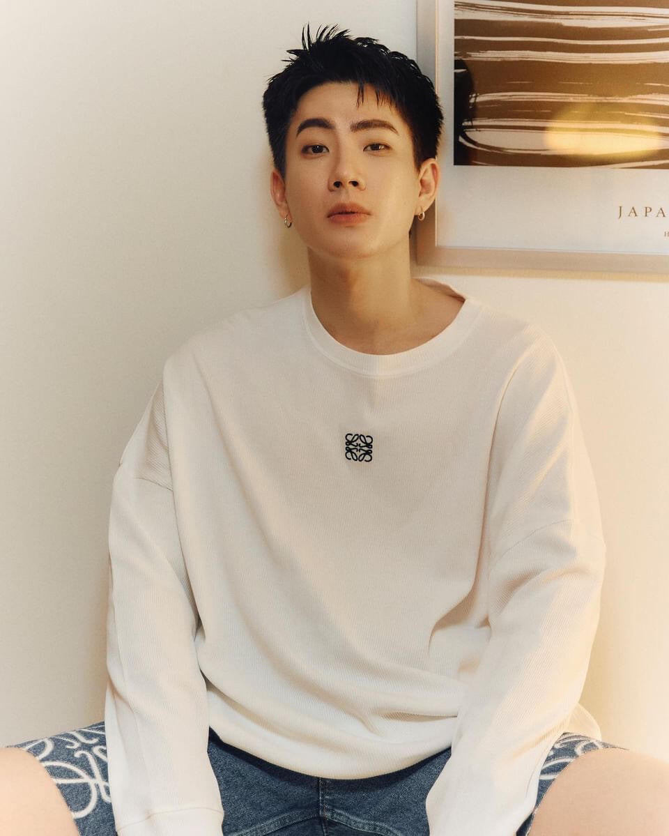 LuxluxHouse Best Quality Clothes Hoodie & Sweater Loewe