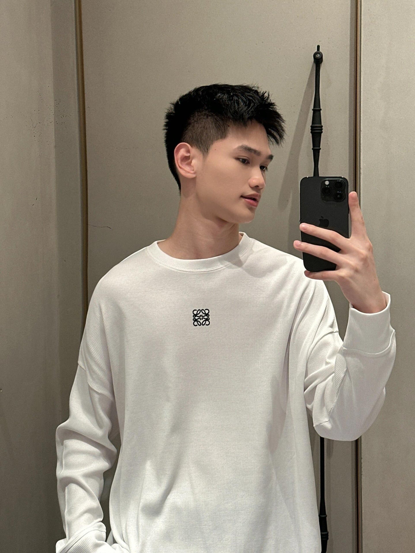 LuxluxHouse Best Quality Clothes Hoodie & Sweater Loewe