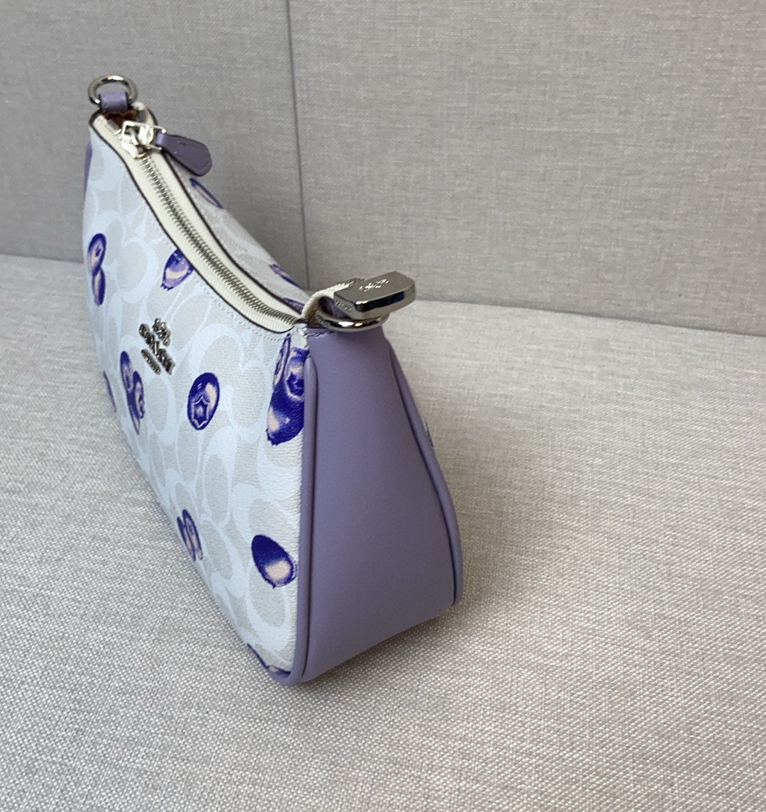 LuxluxHouse Best Quality Bags Coach
