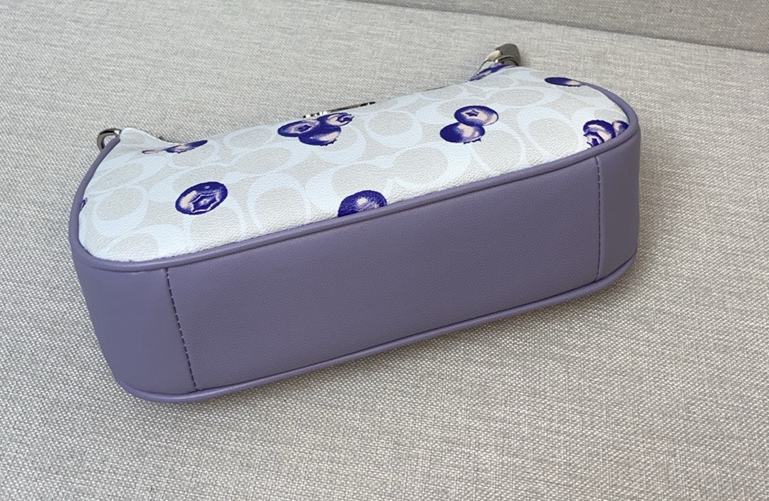 LuxluxHouse Best Quality Bags Coach