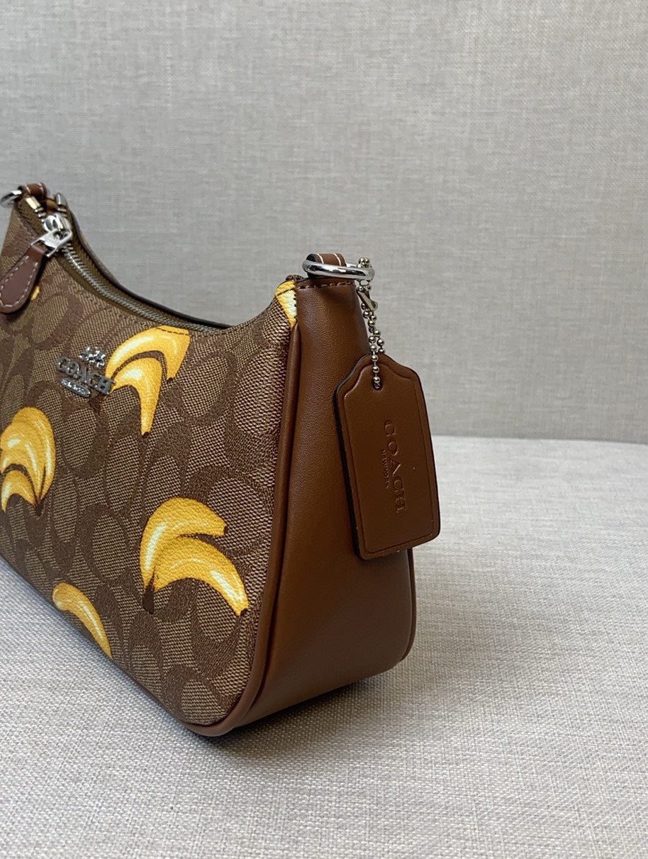 LuxluxHouse Best Quality Bags Coach