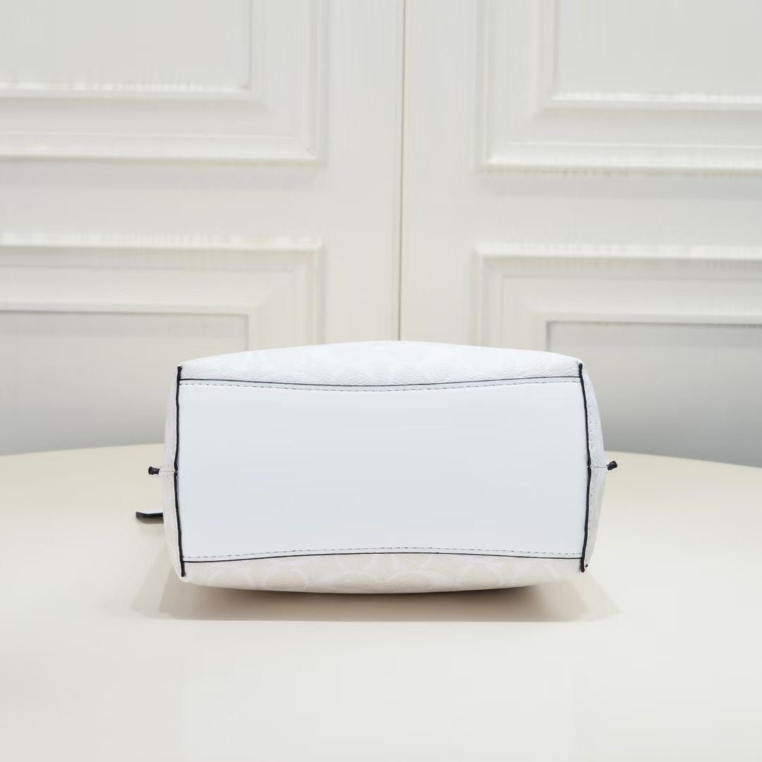 LuxluxHouse Best Quality Bags Coach