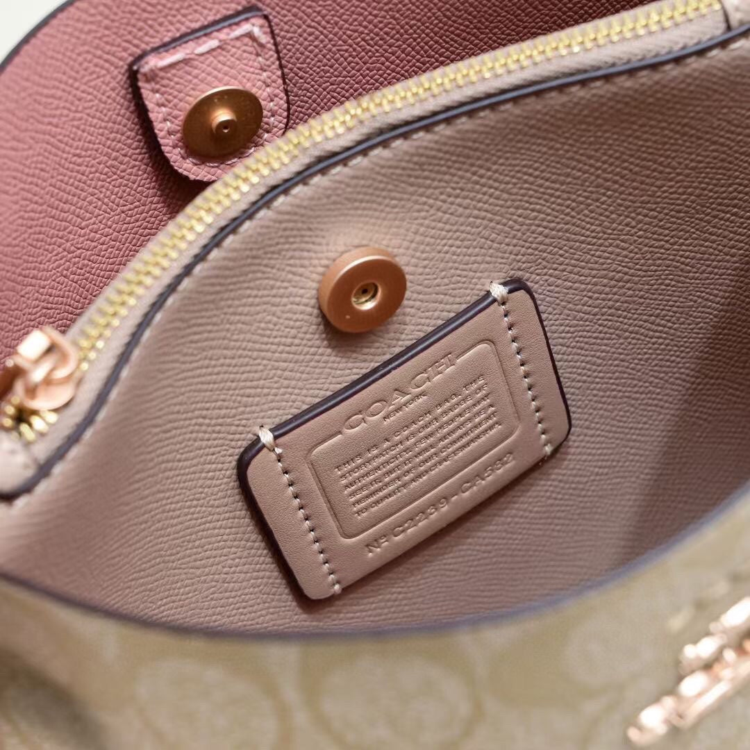 LuxluxHouse Best Quality Bags Coach
