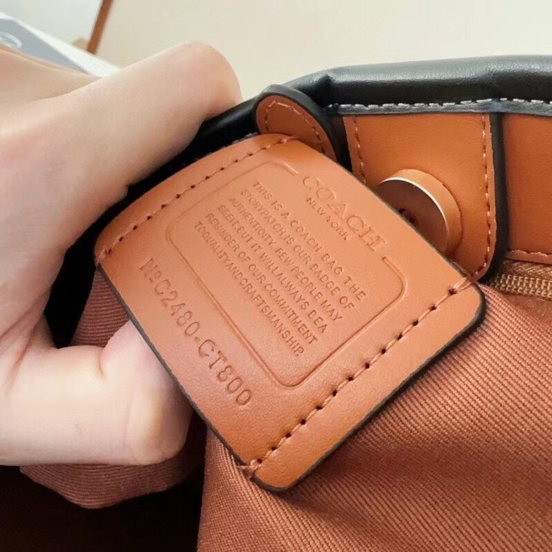 LuxluxHouse Best Quality Bags Coach