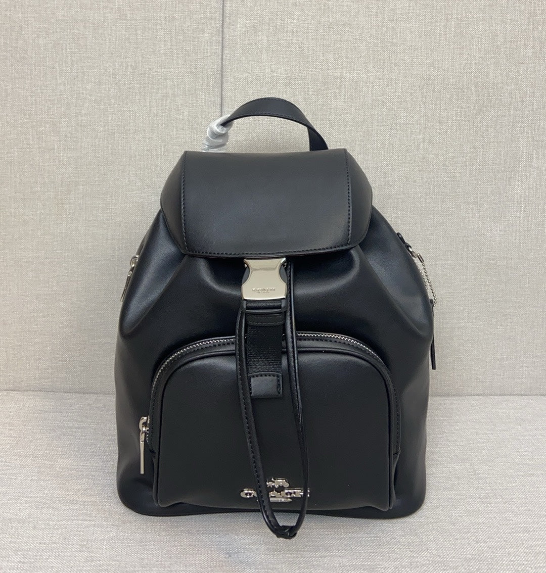 LuxluxHouse Best Quality Bags Coach