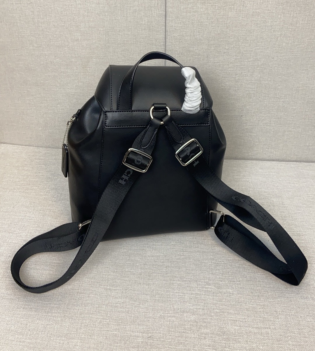 LuxluxHouse Best Quality Bags Coach