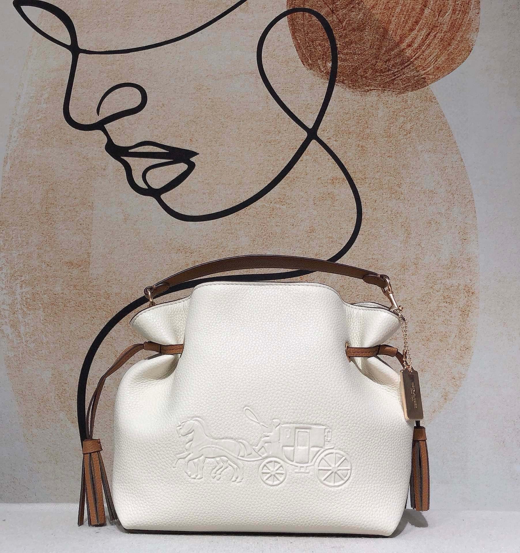 LuxluxHouse Best Quality Bags Coach